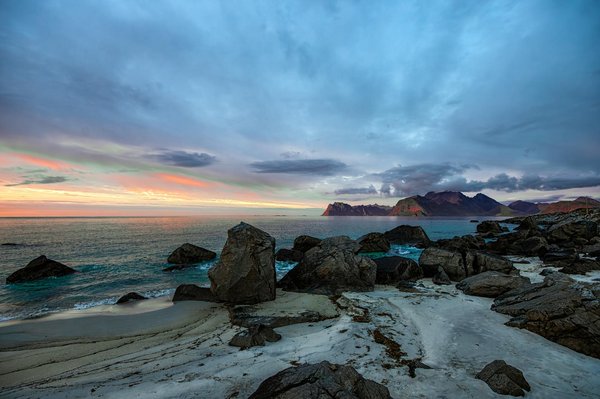 What are the UK's top wildlife experiences?